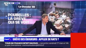 Poubelles : la faute à "l'entêtement de l'Etat" - 14/03