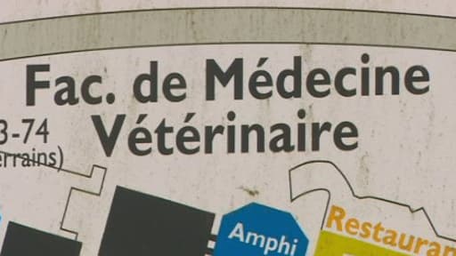 Enseigne devant la faculté de médecine vétérinaire à Liège