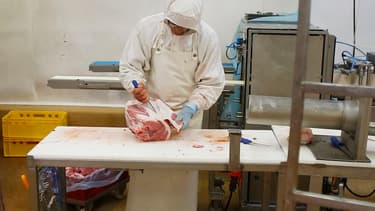 Réunis pour un concours international à Francfort, les jeunes bouchers s'interrogent sur l'essor de la viande créée en laboratoire