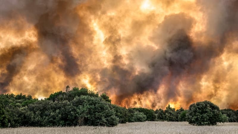 Incendies en Grèce: Gérald Darmanin annonce que la France va envoyer des pompiers en renfort