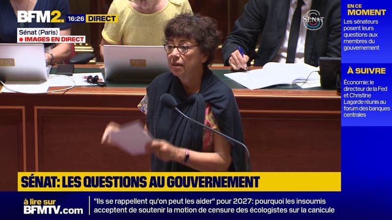 Canicule: "Oui la climatisation permet de sauver des vies, il n’a jamais été question de remettre cela en cause", explique la ministre Monique Barbut