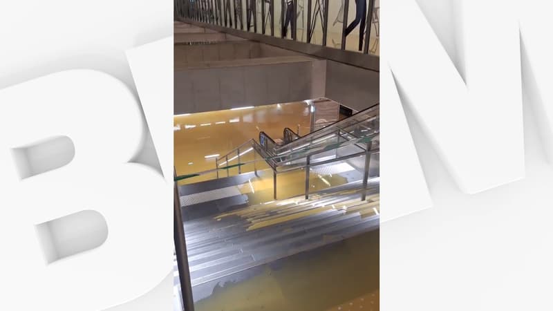 Des flots d'eau brunâtres dans le métro: la station Porte de Clichy inondée sur la ligne 14 après les intempéries à Paris (1/1)