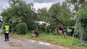 Plusieurs arbres se sont couchés sur le site du festival après le passage de l'orage.