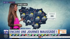 Météo Paris-Ile de France du 12 juin: Ciel gris et retour des averses dans l'après-midi