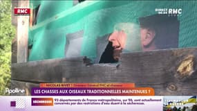 Le gouvernement veut maintenir les chasses aux oiseaux traditionnelles
