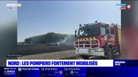 Fortes chaleurs dans le Nord: les pompiers fortement mobilisés