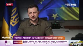 Adhésion de l'Ukraine à l'Union Européenne : le début d'un long processus