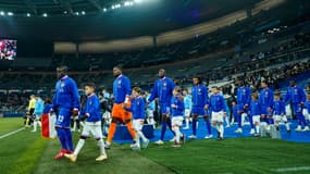 Les joueurs de l'équipe de France entrent sur le terrain avant France-Israël, le 14 novembre 2024.
