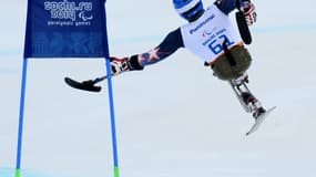 Ski fauteuil