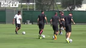 Ligue 1 : les premiers pas de Ben Arfa avec l'OGC Nice