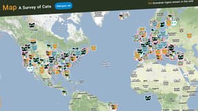 Tous les internautes sont invités à renseigner la base de données en y ajoutant son propre chat.