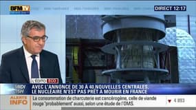"L'économie française va avoir énormément de mal à se passer du nucléaire"