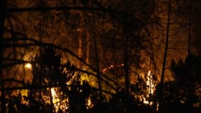 L'incendie de Vidauban, qui s'est déclaré dans la plaine des Maures mardi 11 juin 2024.