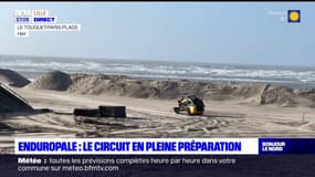 Enduropale: le circuit en pleine préparation