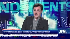 Grégory Raymond: "Certaines entreprises commencent à utiliser une partie de leur trésorerie pour investir dans les cryptomonnaies".