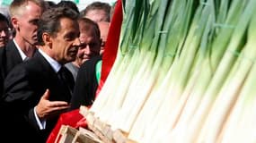 Nicolas Sarkozy a invité vendredi les agriculteurs à poursuivre leurs efforts de productivité et de compétitivité face à la concurrence "déloyale" des marchés émergents, lors de l'inauguration de "Terres à l'envers", un salon de l'agriculture en plein air