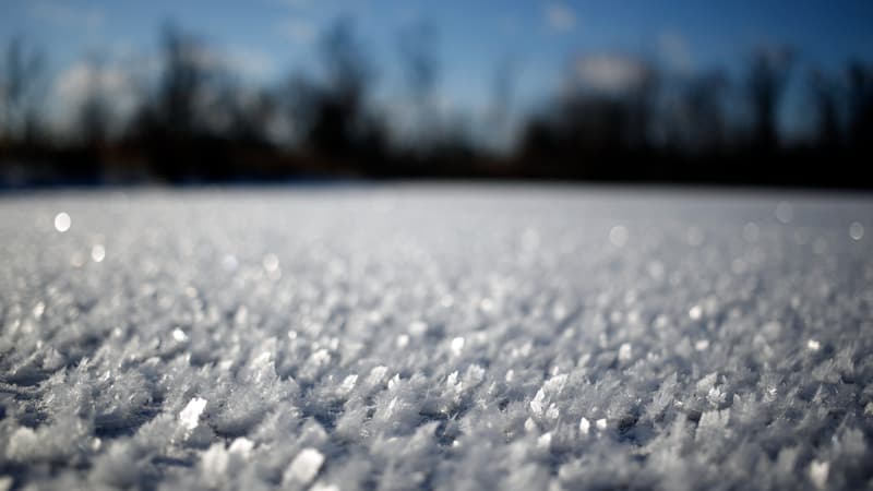 "Je n'ai pas pu les aider": trois enfants se noient devant leur mère en tombant dans un lac gelé au Texas