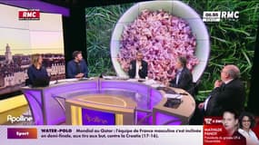On n'a pas osé vous en parler : Du riz... rose pour remplacer la viande ! - 16/02