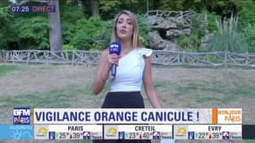 Météo Paris-Île-de-France du 24 juillet: Vigilance orange canicule !