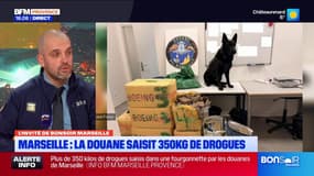 Marseille : la douane saisit 350kg de drogues