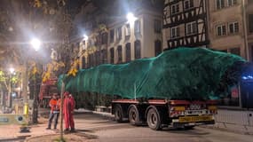 Le sapin a été transporté ce lundi matin