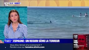 Un requin sème la terreur à quelques mètres des baigneurs à Alicante en Espagne