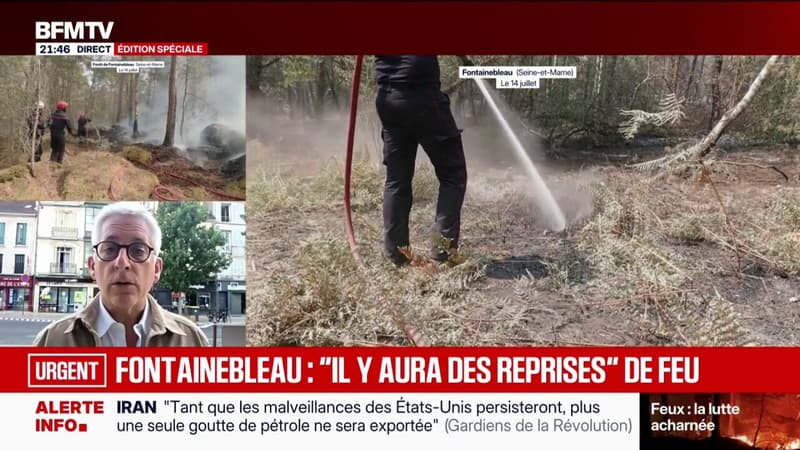Incendies de Fontainebleau: "Jamais on ne pouvait imaginer être confronté à un feu de cet ampleur", explique Frédéric Valletoux, député Horizons de Seine-et-Marne
