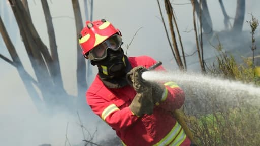 Un pompier lutte contre un incendie, le 20 juin 2017 à Pedrograo Grande, au Portugal (illustration)