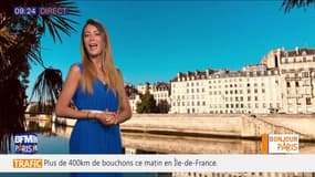 Météo Paris-Île de France du 17 juin: Un beau soleil pour la journée