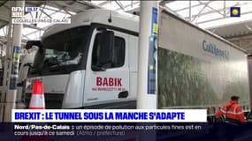 Brexit: le tunnel sous la manche s'adapte