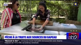 Passions Provence : Pêche à la Truite aux Sources du Gateau