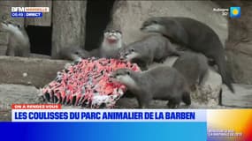 Le Parc Animalier de la Barben nous ouvre ses portes