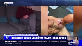 "Je n'ai pas réfléchi, je lui ai sauté dessus", témoigne Christophe, 56 ans, blessé par l'assaillant de la Gare de Lyon