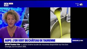 Dans votre assiette du jeudi 30 novembre - Aups : l'or vert du Château de Taurenne