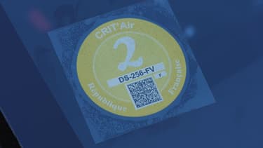 Seuls les véhicules Crit'Air 0, 1, 2 ou 3 ont autorisation de circuler vendredi.