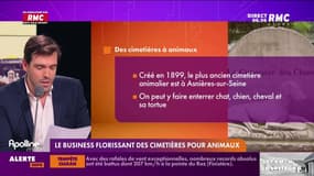 On n'a pas osé vous en parler : Le business florissant des cimetières pour animaux - 02/11