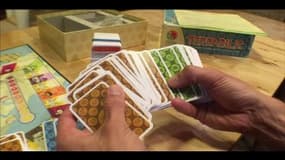 Terrabilis, le jeu écoresponsable pour prendre soin de la planète