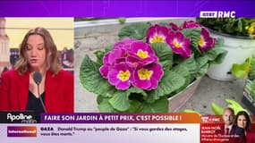 Faire son jardin à petit prix, c'est possible ! 