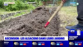 Week-end prolongé de l'Ascension: les Alsaciens travaillent leurs jardins