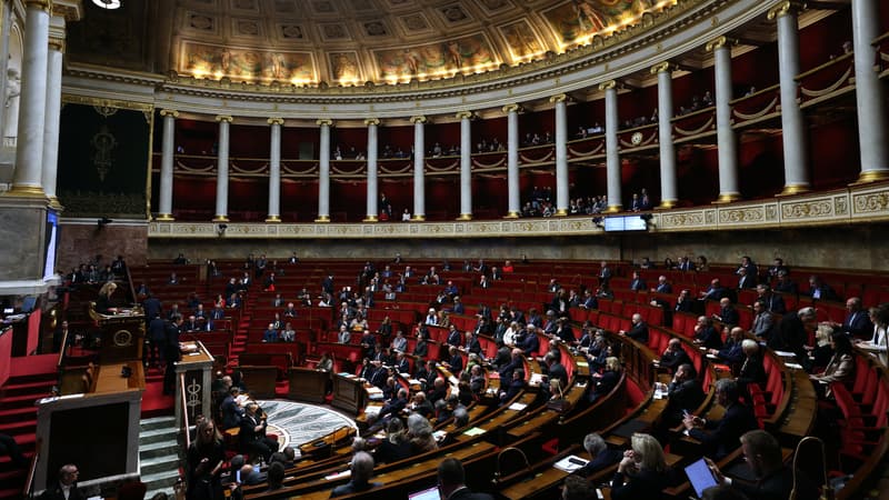 Une séance à l'Assemblée nationale à Paris, le 12 mars 2024. (Photo d'archive)