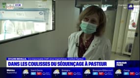 Covid-19: comment l'institut Pasteur traque les variants du virus