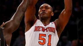 Metta World Peace