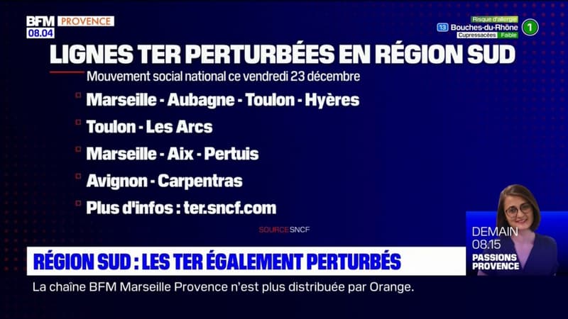 Provence-Alpes-Côte d'Azur: les TER également perturbés