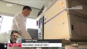 Virus chinois: on en fait trop ? - 27/01