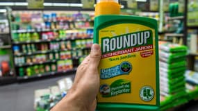 Une bouteille de Roundup, produit de Monsanto contenant du glyphosate, le 15 juin 2015 dans une jardinerie de Lille (photo d'illustration)