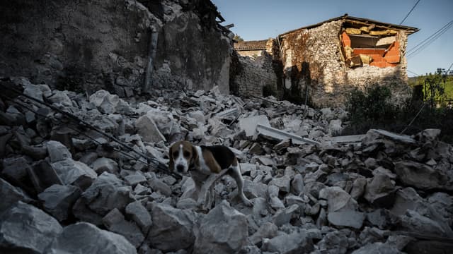Le séisme du 11 novembre 2019 a détruit plusieurs dizaines d'habitations à Teil.