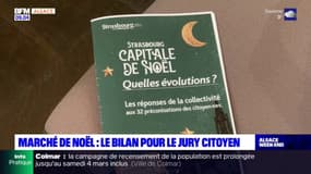 Strasbourg: la mairie retient la plupart des préconisations du jury citoyen pour un Marché de Noël plus écologique