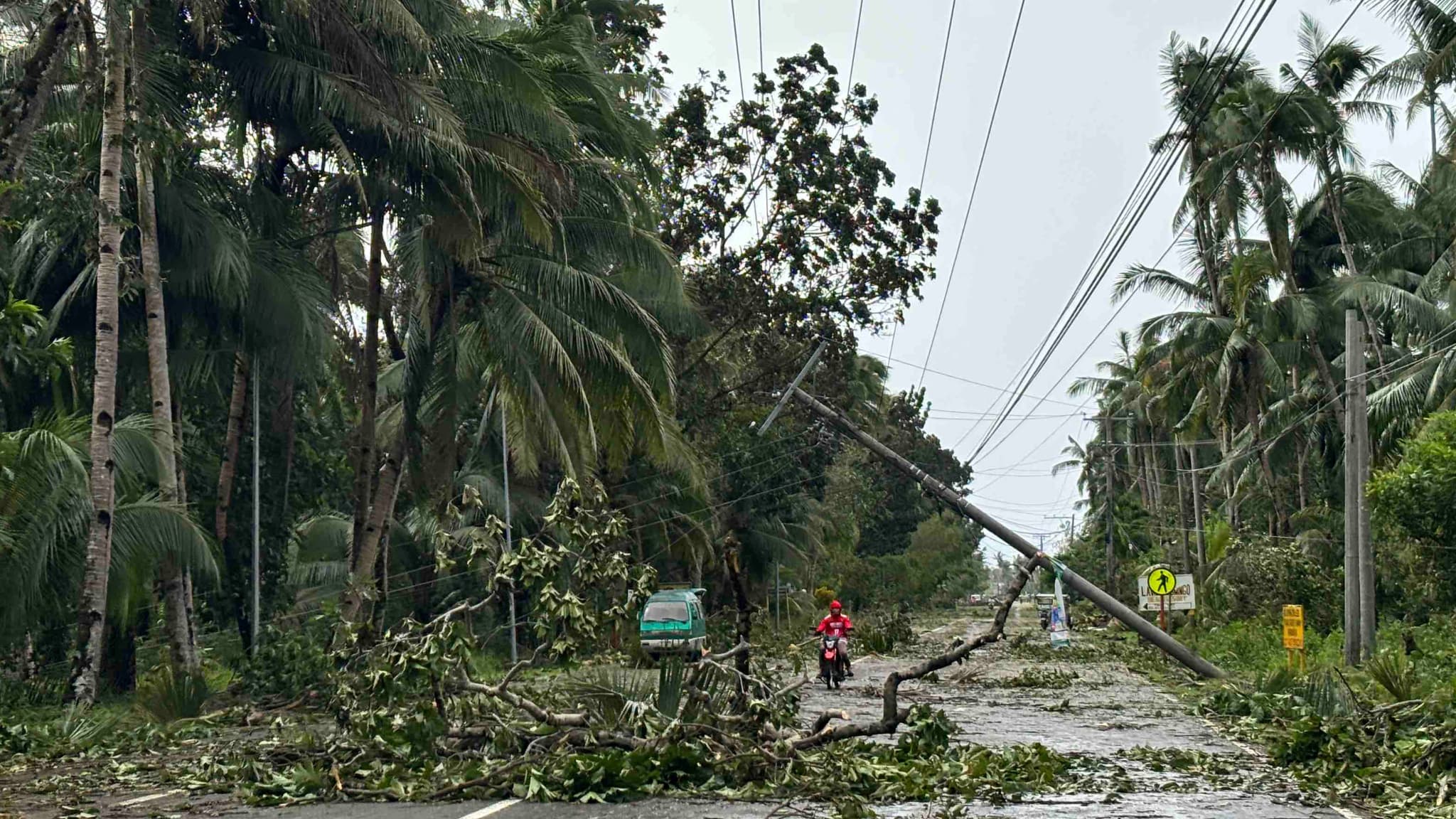 A motorist passes a utility pole and fallen trees on a road following Typhoon Kalmaegi in Mayorga, Leyte province, on November 4, 2025.