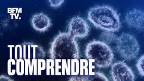 Image au microscope du virus SARS-CoV-2, datée du 28 mars 2021