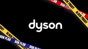 C'est une édition limitée ? Cet aspirateur Dyson de couleur rare est à saisir
